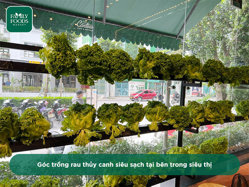 Nhận định thực phẩm sạch như thế nào?